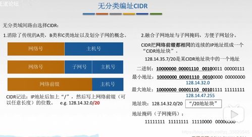 無(wú)分類編址CIDR與超網(wǎng)技術(shù) 計(jì)算機(jī)信息網(wǎng)絡(luò)的靈活設(shè)計(jì)之道